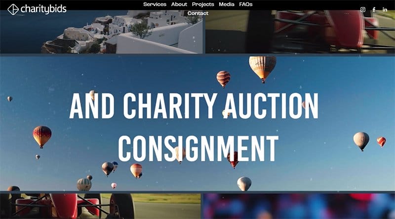 1. CharityBids - Great Auction Websites Example