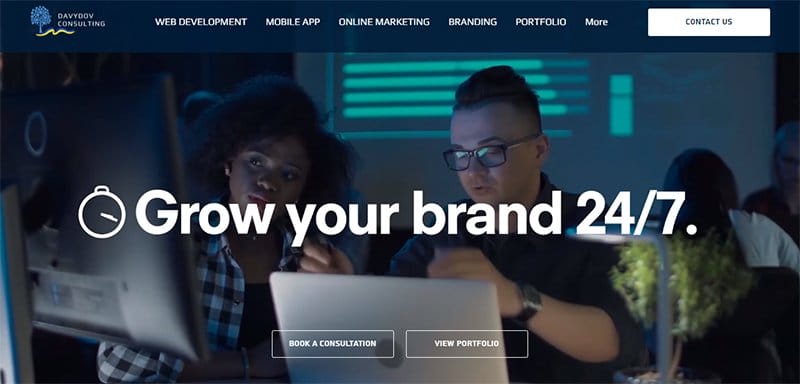 15. Davydov Consulting - Best Linear Website Examples For Design Inspiration