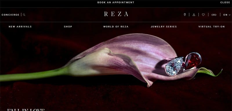 38. REZA - Best Award-Winning Websites For Design Inspiration Example