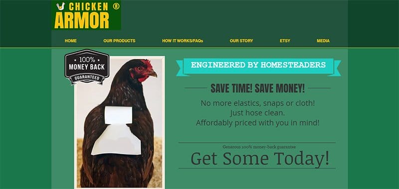 5. Chicken Armor - List of Big Companies That Use Wix Example