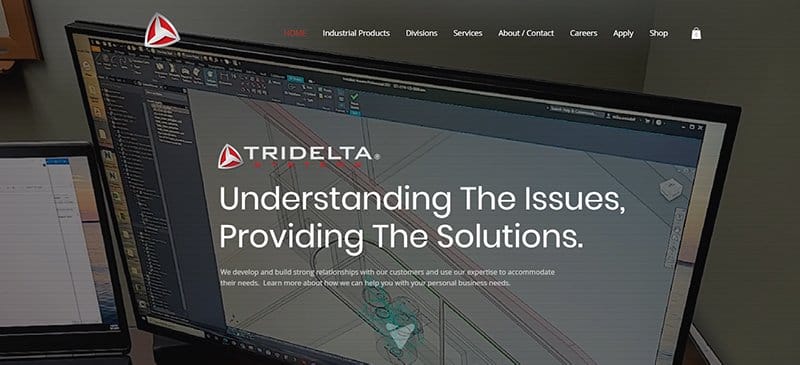 5. Tridelta Systems - Best Manufacturing Website Example