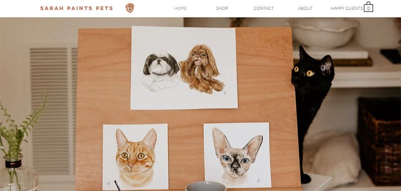 6. Sarah Paints Pets - List of Big Companies That Use Wix Example