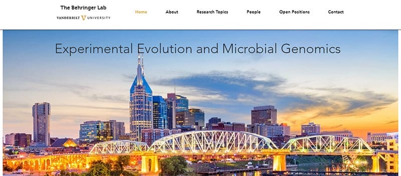 6. The Behringer Lab - Free Website Examples For Design Inspiration Example