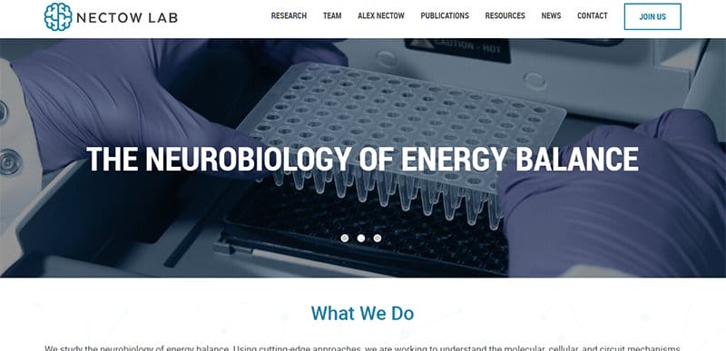 7. Alexander Nectow Lab - Best Science Website Design Examples