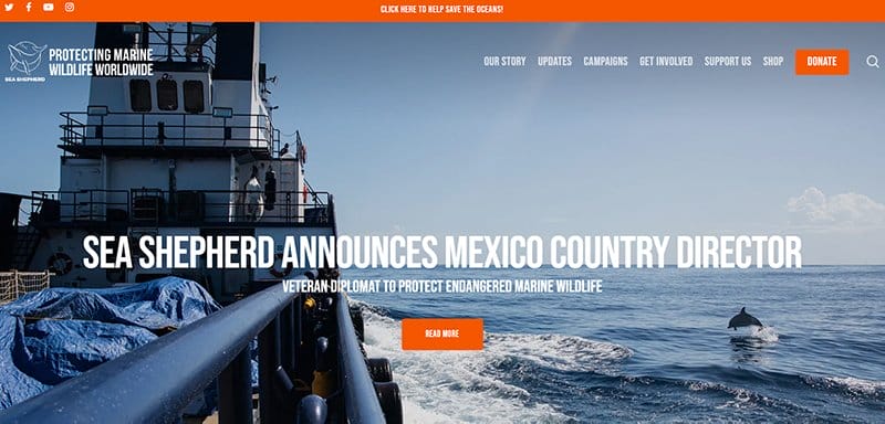 website-example-img