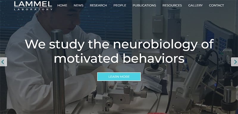 8. LAMMEL Laboratory - Best Science Website Design Examples