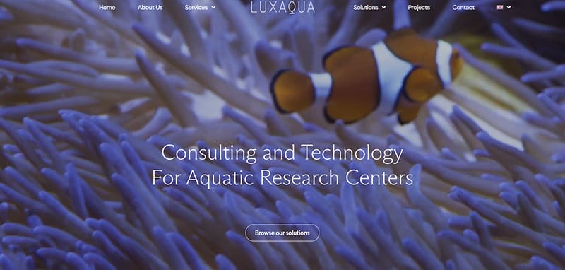 8. LUXAQUA - Great Marine Website Examples