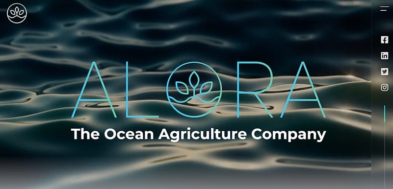 10. Alora - Graphic Design Trends Example