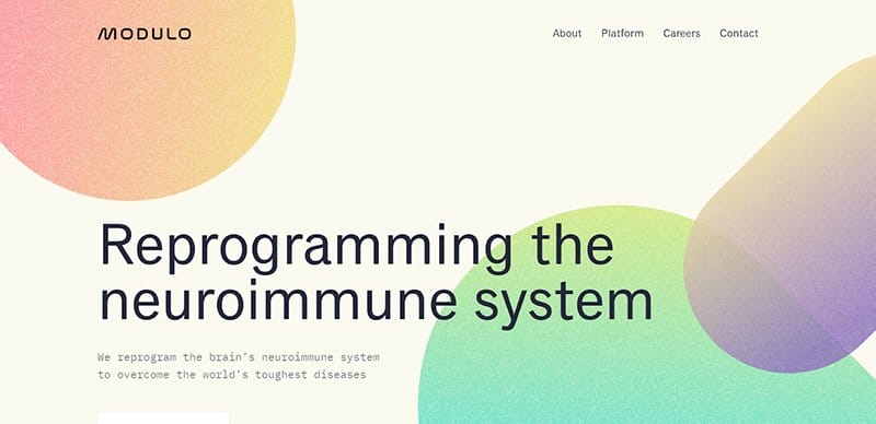 12. Modulo Bio - Graphic Design Trends Example