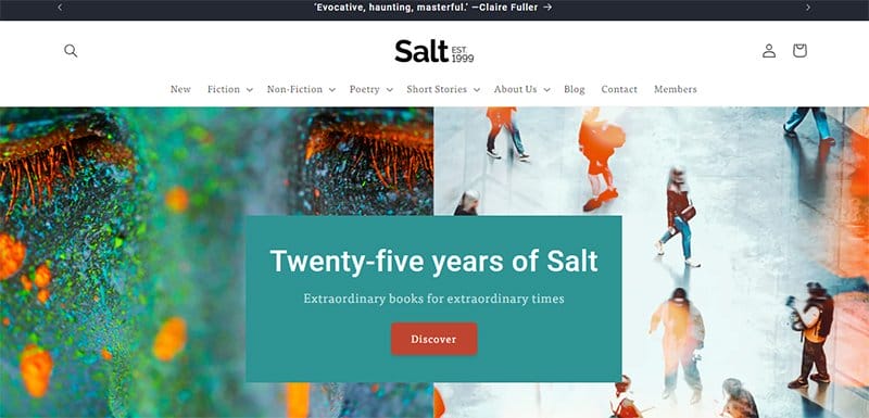 12. Salt Publishing - Best Publisher Websites Example