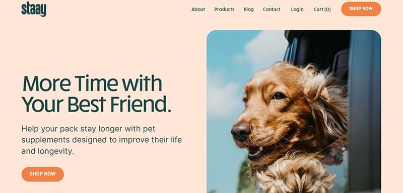 2. Staay - Above-the-Fold Content Examples to Inspire