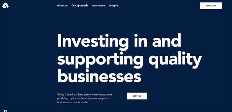 20. Trinity Capital - Outstanding Examples of Private Equity Website Example