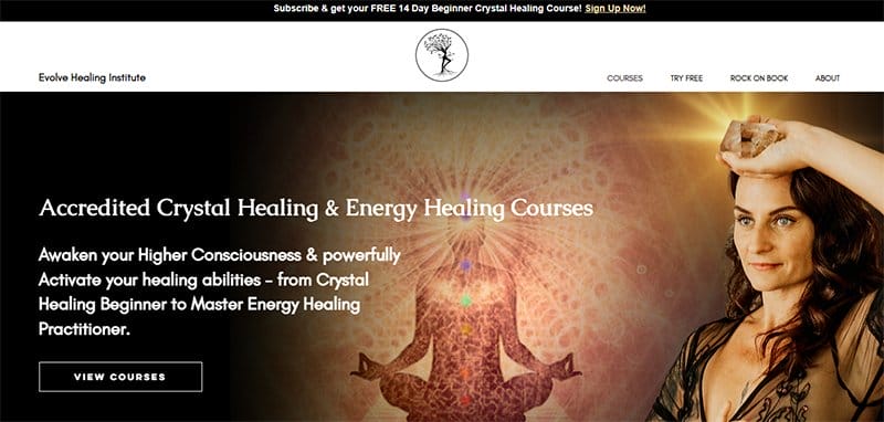 4. Evolve Healing Institute - Above-the-Fold Content Examples to Inspire